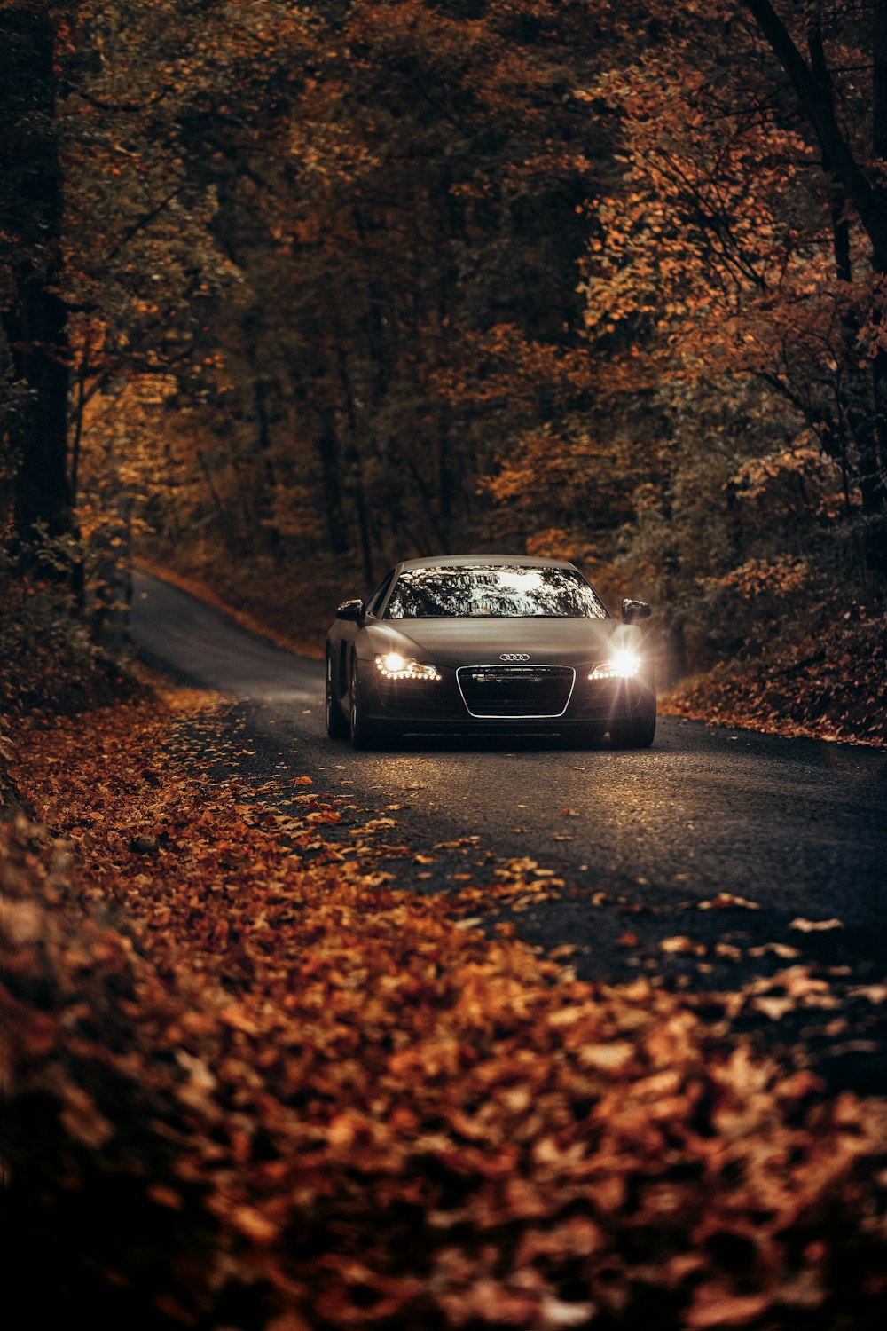 Coupe with headlights on a leaf-covered forest road